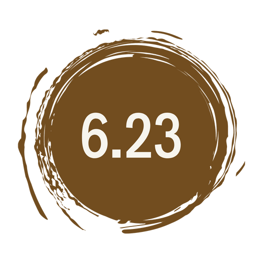 S&S • 6,23 - Golden iridescent dark blonde