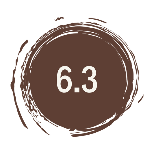 S&S • 6,3 - Golden dark blonde