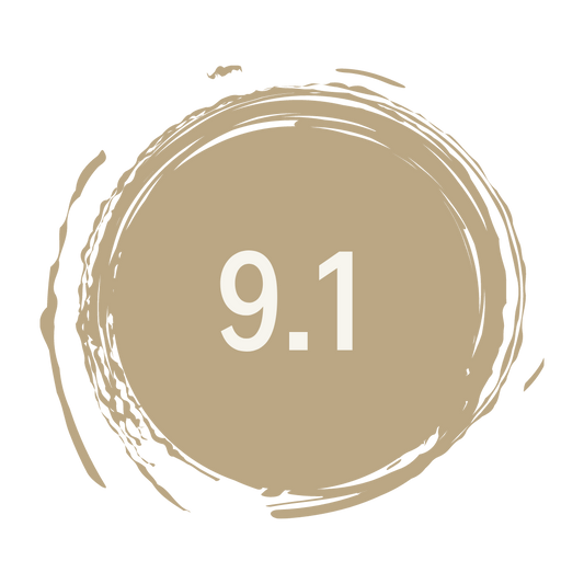 S&S • 9,1 - Very light ash blonde